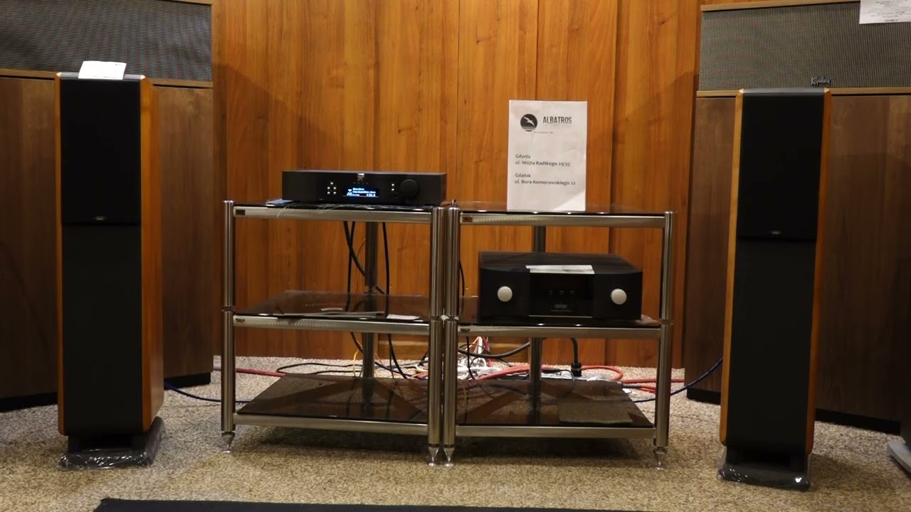 Moon Ace + Chario Constelation Pegasus mk.I - Buena Vista Social Club 