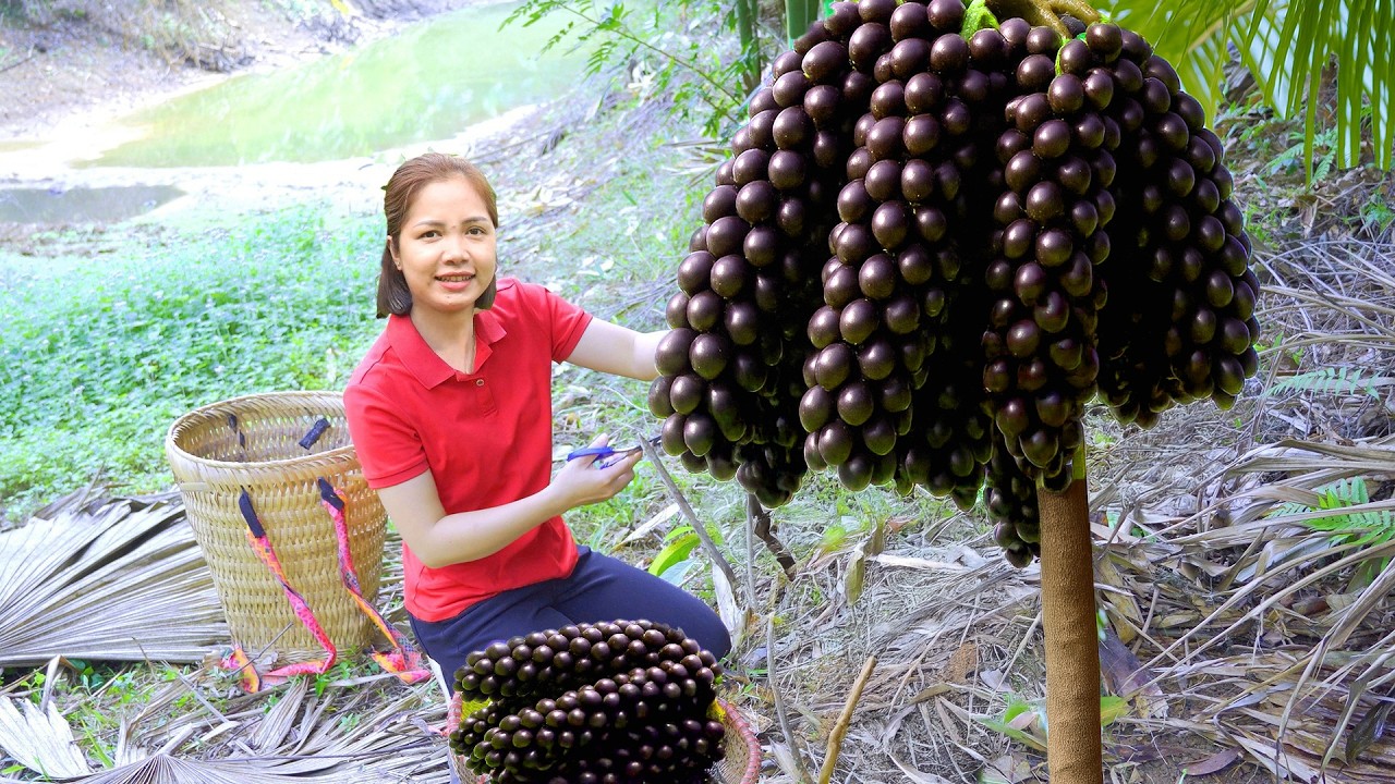 Harvesting 10000 Palm Fruit Goes To Market Sell,Cornbread Recipe | Diem - Free Bushcraft