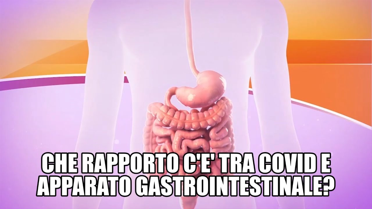 Covid e intestino, quale rapporto?