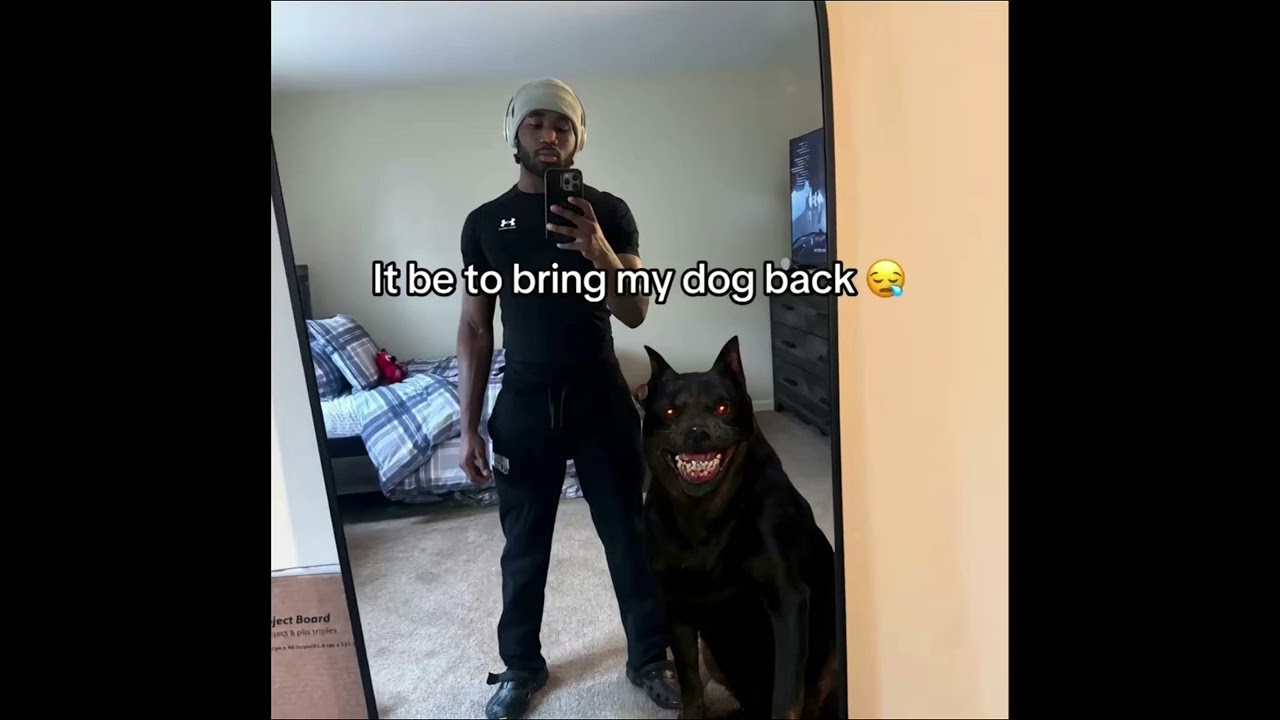 &ldquo;If i had one wish it be to bring my dog back&rdquo; song meme from tiktok the good part only