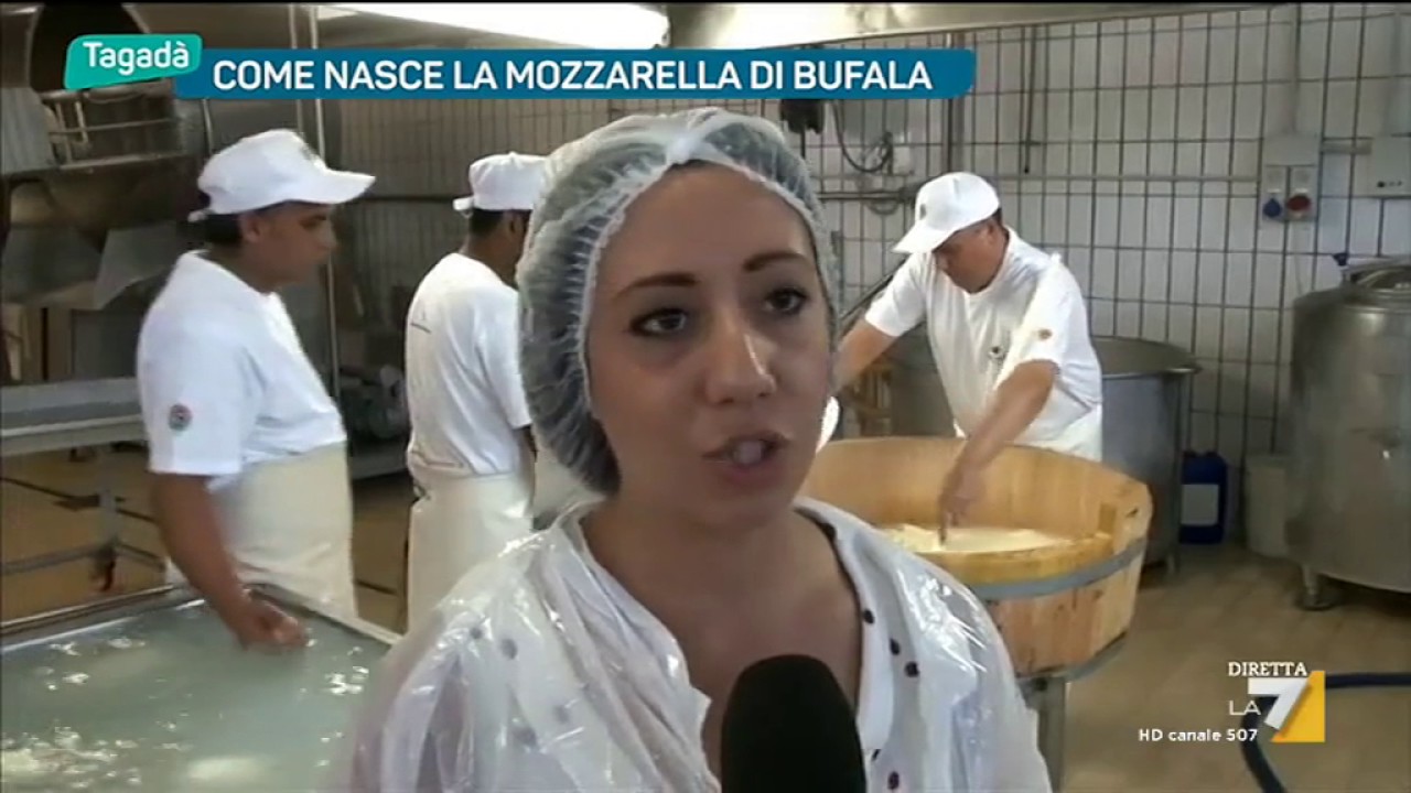 Come nasce la mozzarella di bufala