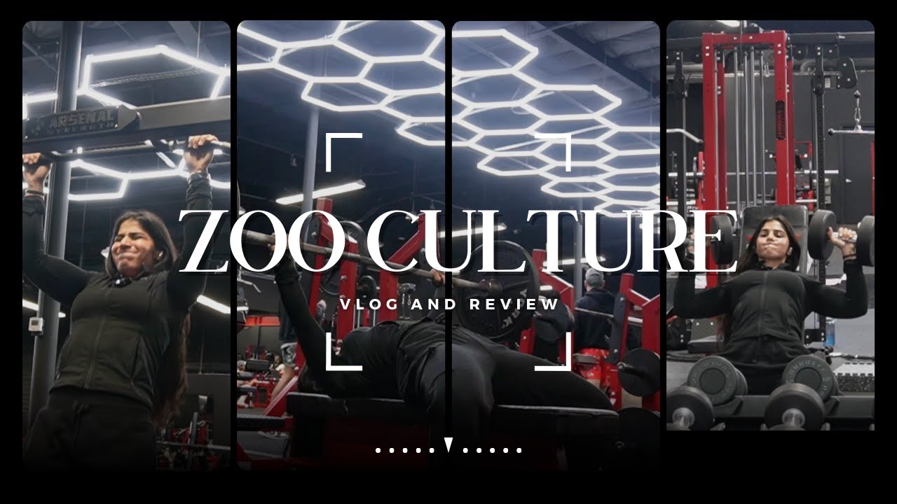 zoo culture vlog and review