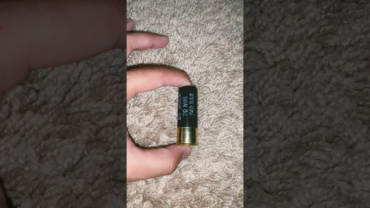 The Best Shotgun Ammo For Home Defense (00 Buck VS #4 buck) #gun #firearms #shotgun