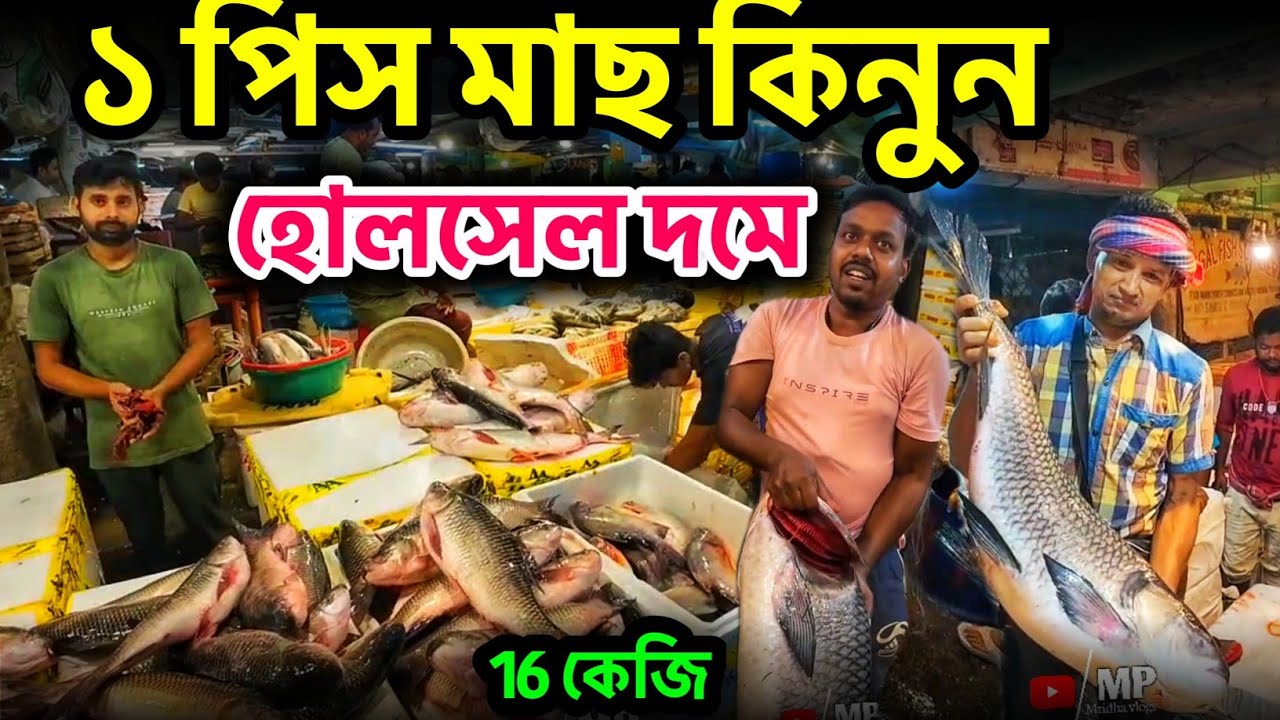 হোলসেল দামে মাছ কিনুন আজই🔥| malda fish market | malda wholesale fish market | malda town fish market