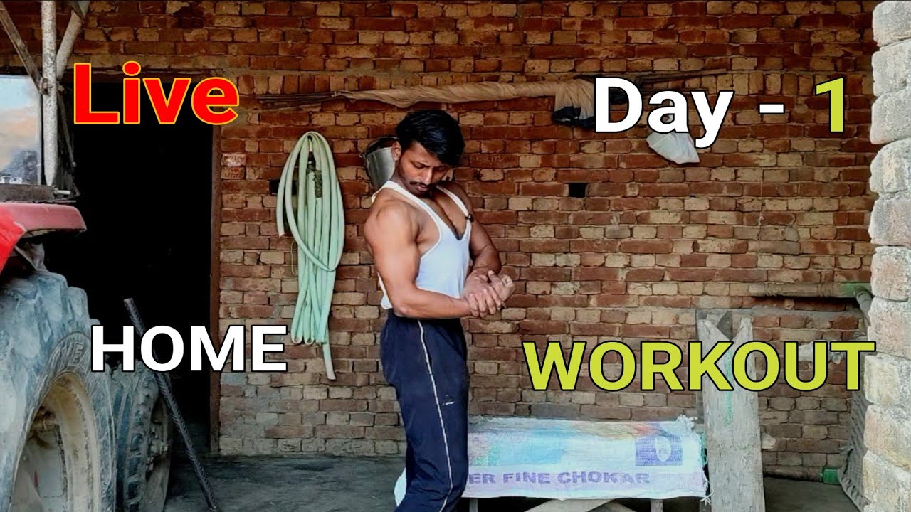 Home Workout day 1 back workout bicep workout 💪 fitness vlog 