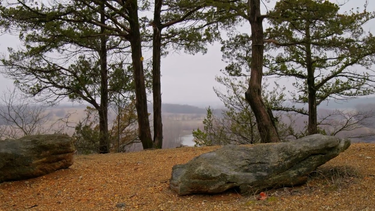 Cuivre River State Park | Immersive Relaxation | Lumix S5ii