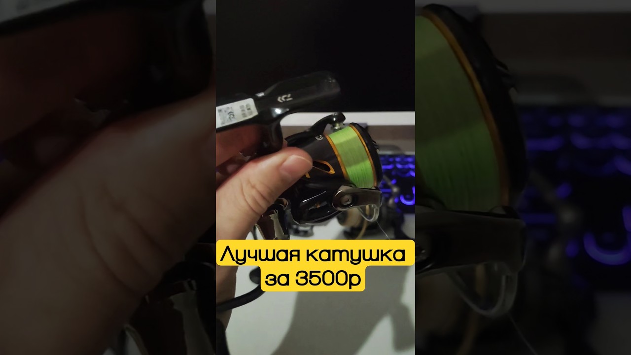 Daiwa серии LT - хорошие рабочие лошадки!