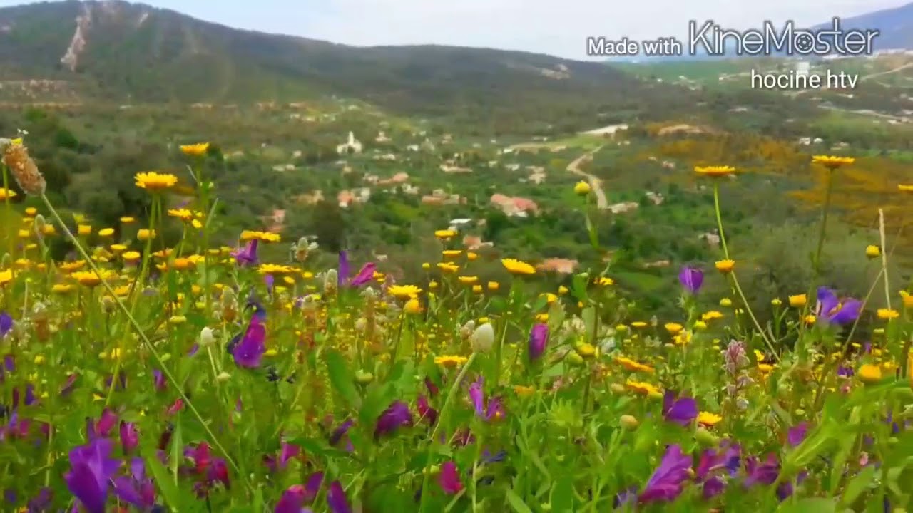 الطبيعة الخلابة بوراوي بلهادف ولاية جيجل