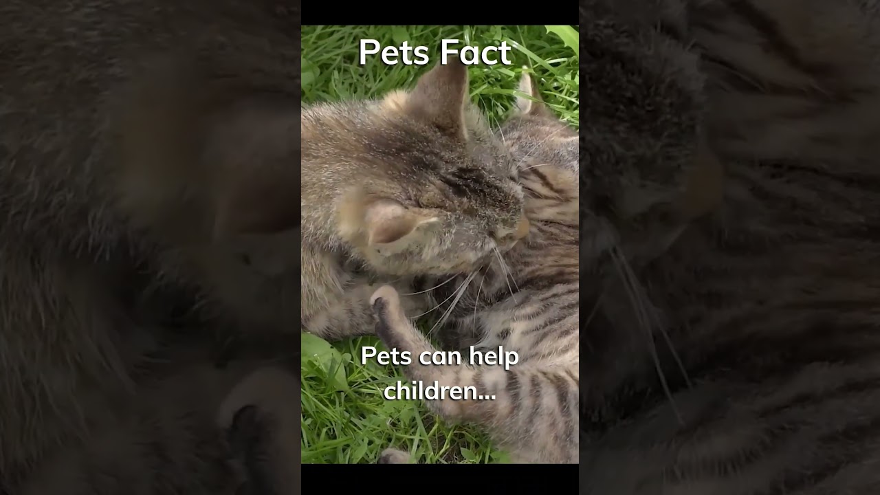 🐶🐱Pets Can Boost Your Child's Empathy and Emotional Intelligence. 😲 Share your thoughts. 👇 #facts