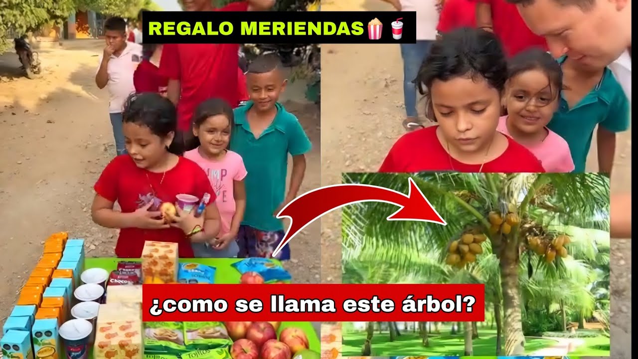🎁😱regalo meriendas si dicen los árboles frutales🌴✅️