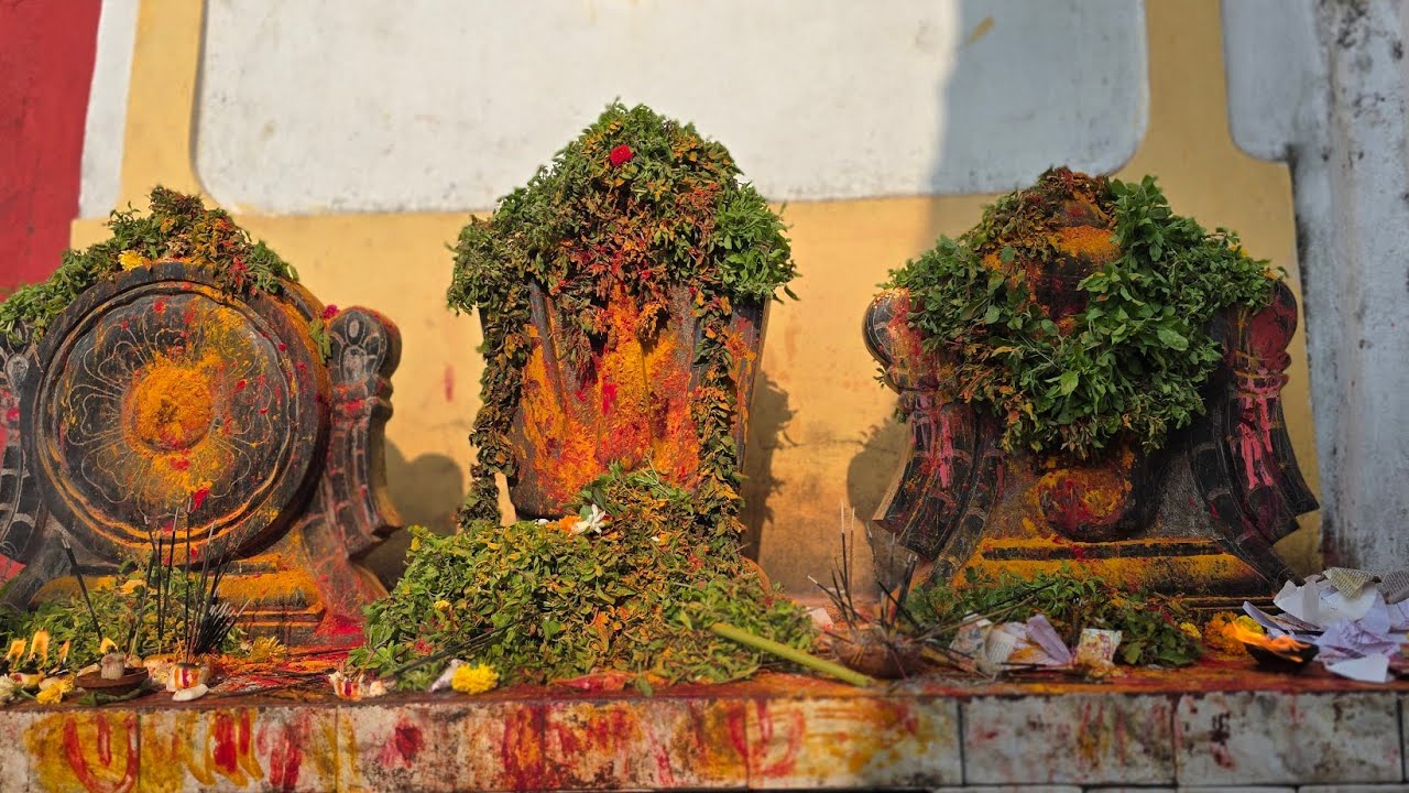 2025 Ayyappa Swamy Padi pooja in  Cheruvumadaram village 