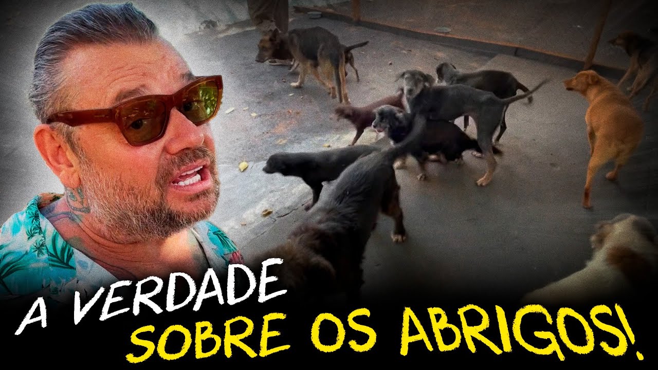 CANIL GAIOLA ABERTA: UMA SEGUNDA CHANCE PARA CÃES ABANDONADOS