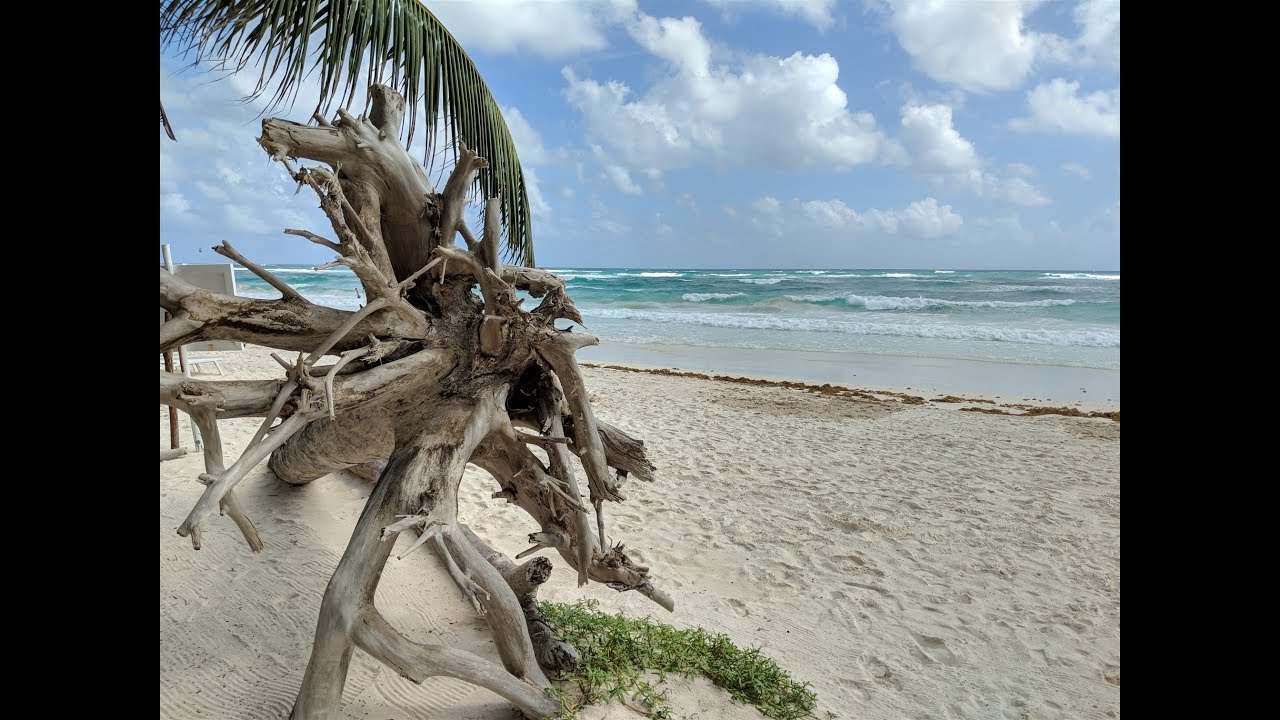 The Beach Tulum