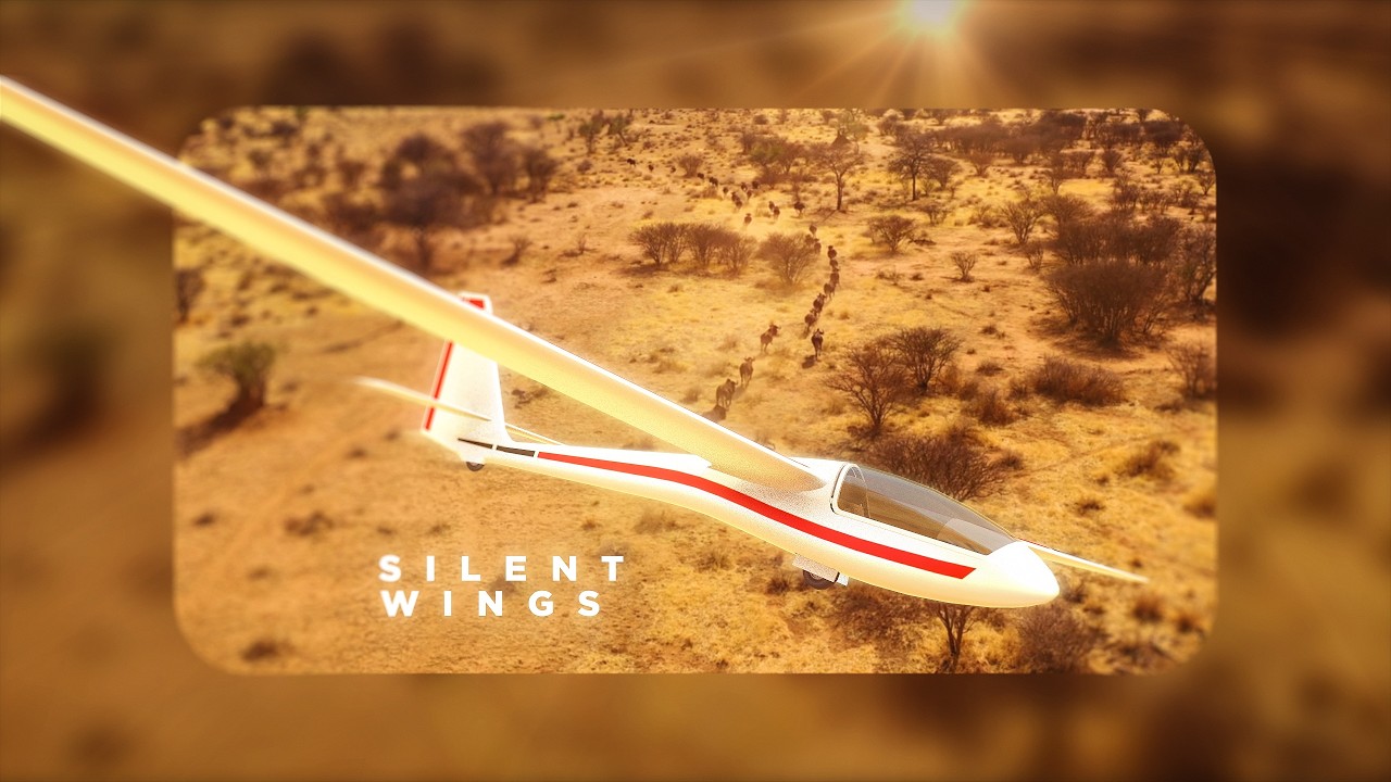 SILENT WINGS