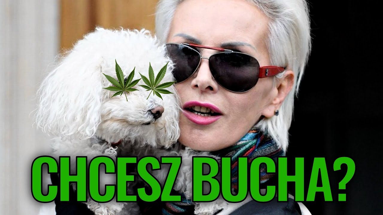 RAMONAGATE: CZY KORA PALIŁA ZIOŁO?