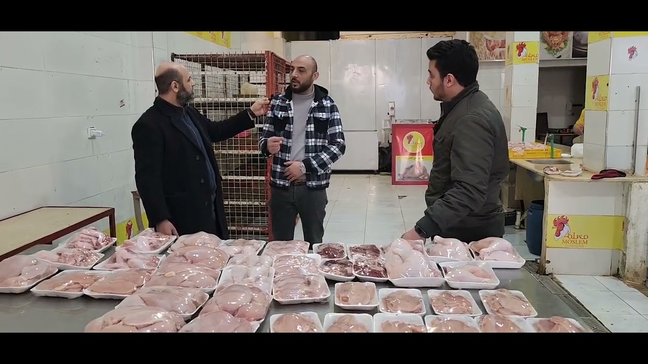 محل بيع طيور من أكبر محلات المنصورة ودة حاله بعد ارتفاع الأسعار