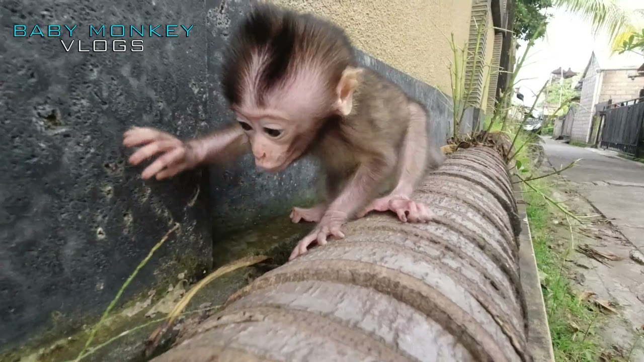 BEHINE THE SCENE OF THE CUTE AND GORGEOUS BABY MOCA