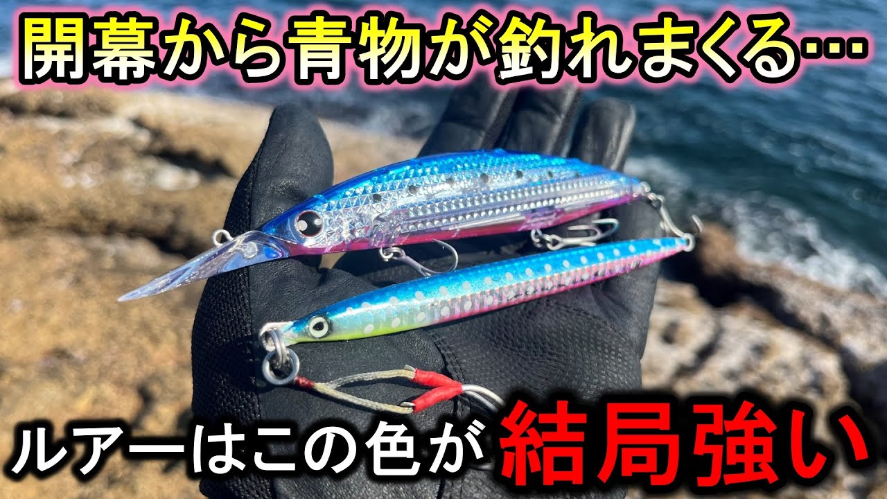 青物系ルアーで1番信頼してるこのカラーが想像以上に魚を釣って早上がりになりました