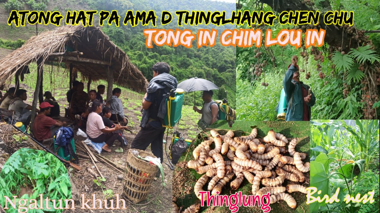 Joulei vlog || Tuni chu kipa ume 🐝Ngaltun khuh khat jong kakimu lhone...