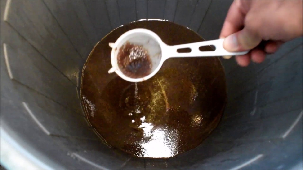 Artemia von Ronny Rein