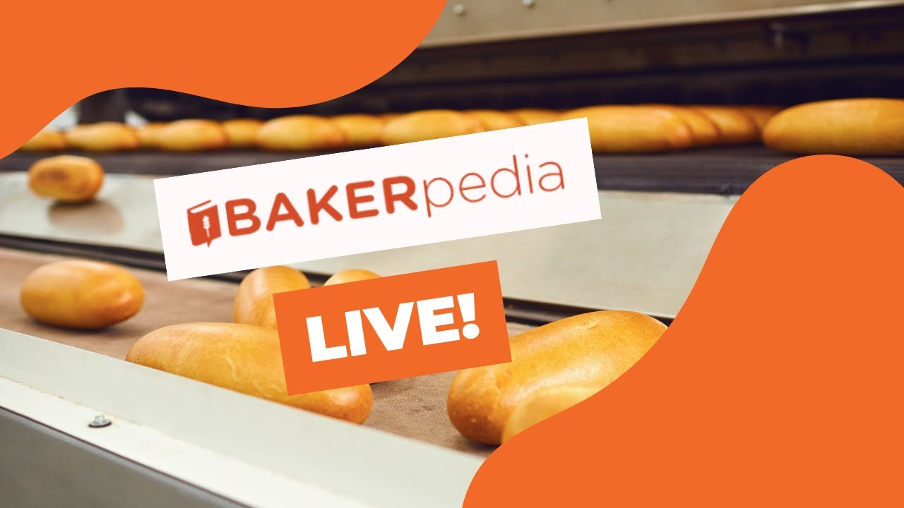 Wisdom Wednesday: Sponge and Dough Method 101