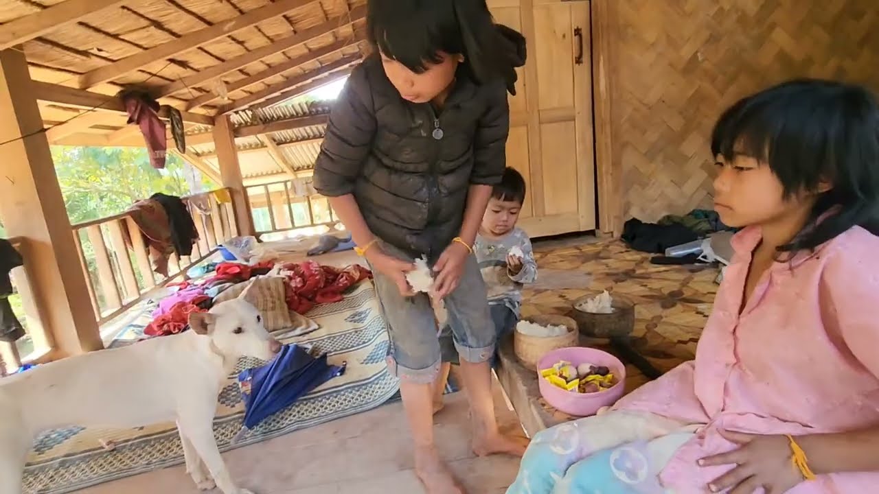 น้องมุกน้องจอม ยิ่งนับวันยิ่งโตขึ้น#เผ่าตองเหลืองในลาว #คนป่า #ตองเหลือง 