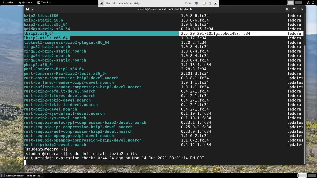 High-Level Package Management with dnf