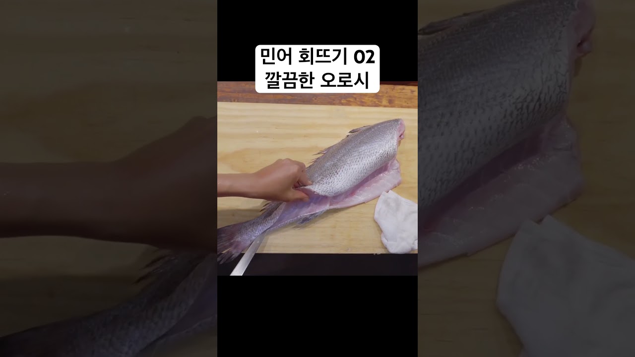 깔끔한 민어 회뜨기 방법 #민어 #민어회