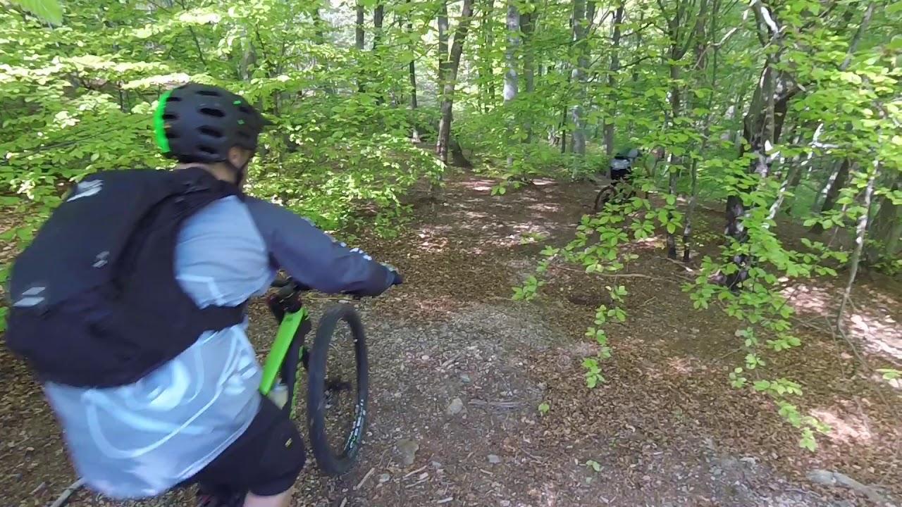 Monte Martica MTB: Discesa Al Brinzio /WTG