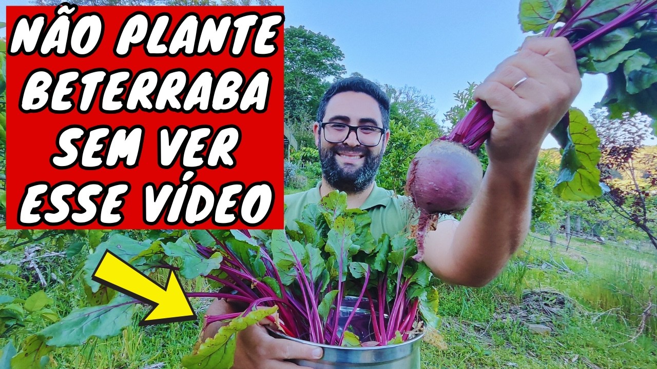 ✅O SEGREDO PARA COLHER BETERRABAS RÁPIDO E ENORMES ( CONSERVA DE BETERRABA)
