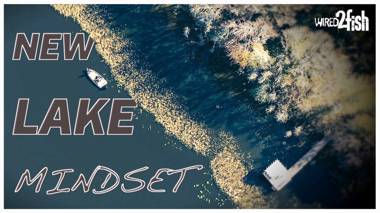 New Bass Lake Breakdown | Florida Spawning Season