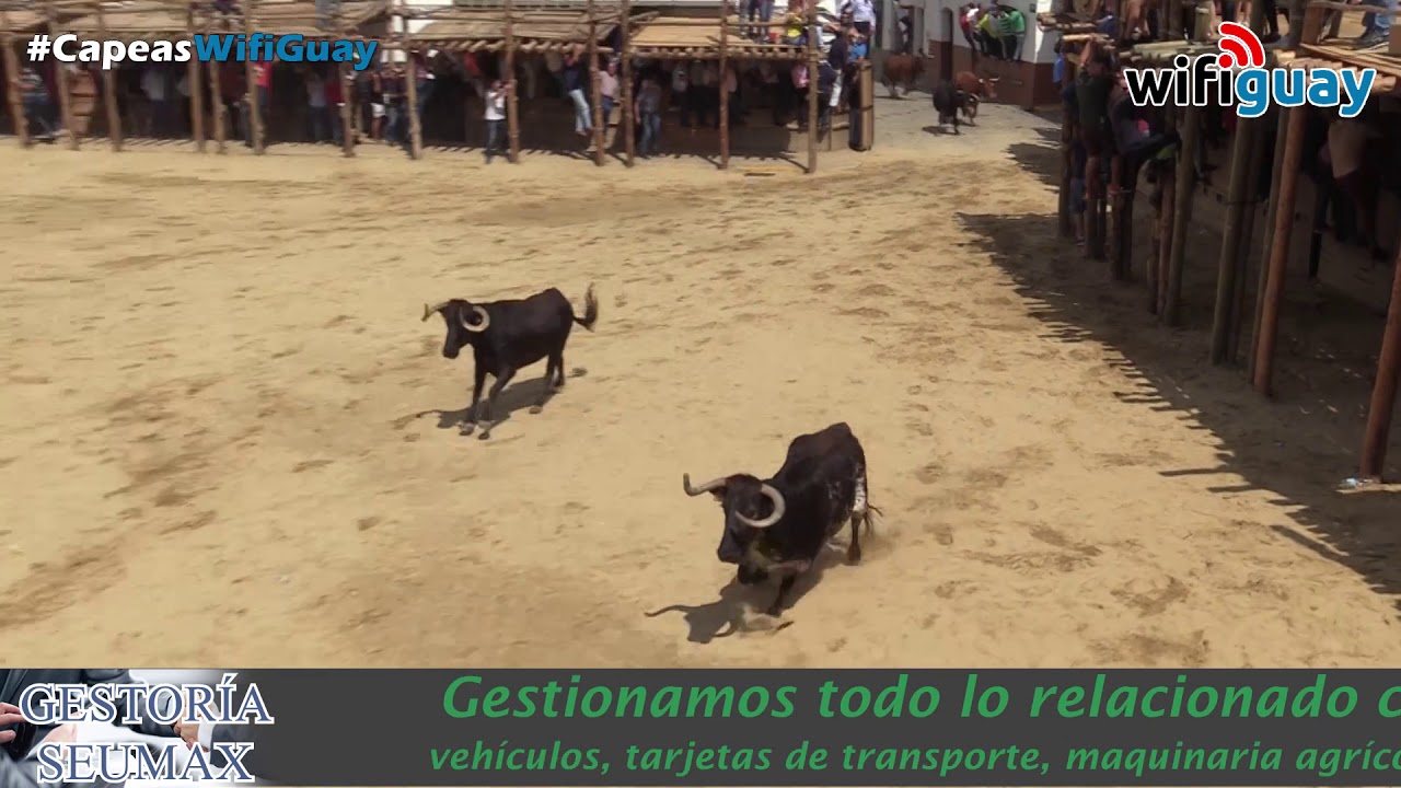 ENTRADA d&iacute;a 1 - 13 SEPTIEMBRE | Capeas Segura de Le&oacute;n 2018