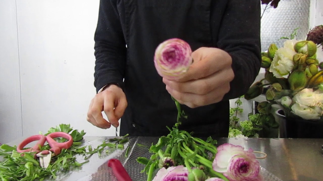 Adam The Flower Man - Conditioning Cut Flowers