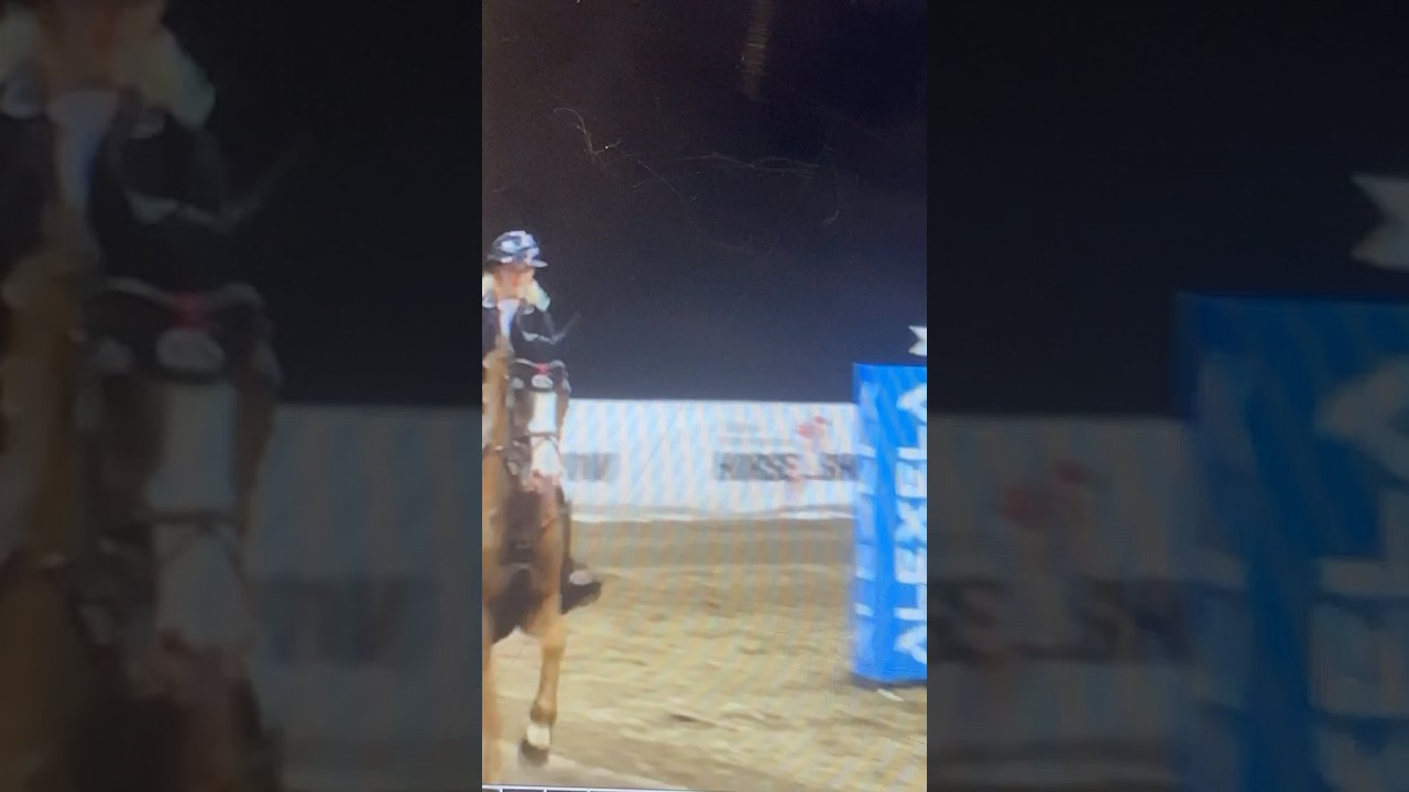 Horses is not bad horses is beststs