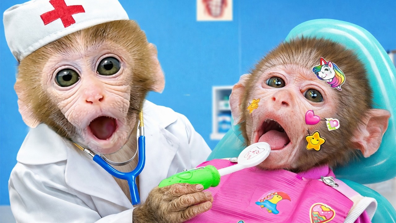 O macaco Bon Bon finge ser médico, cuida do macaquinho doente e brinca com brinquedos de dinossauro