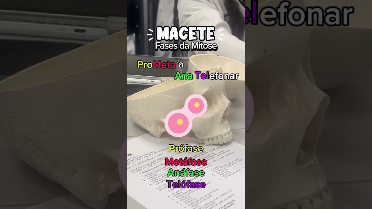 Gostariam de mais conteúdos assim? 💗 