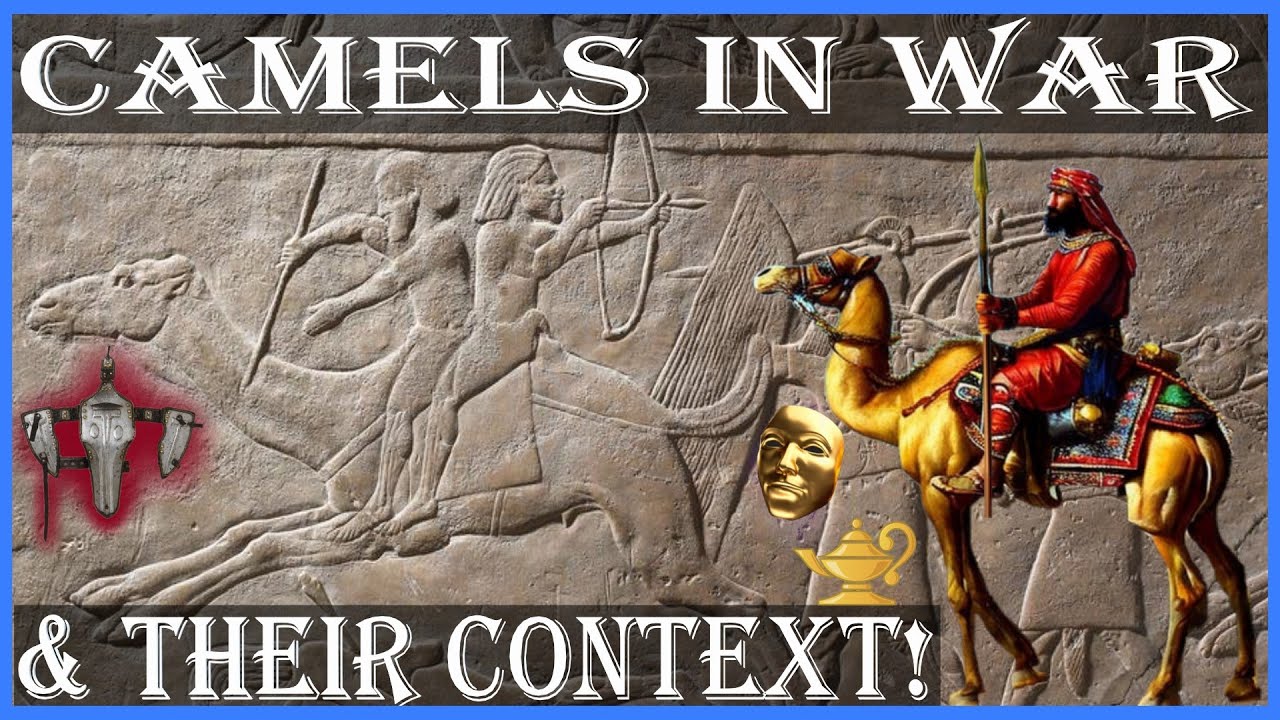 История темной стороны: Боевые верблюды, верблюды на войне!