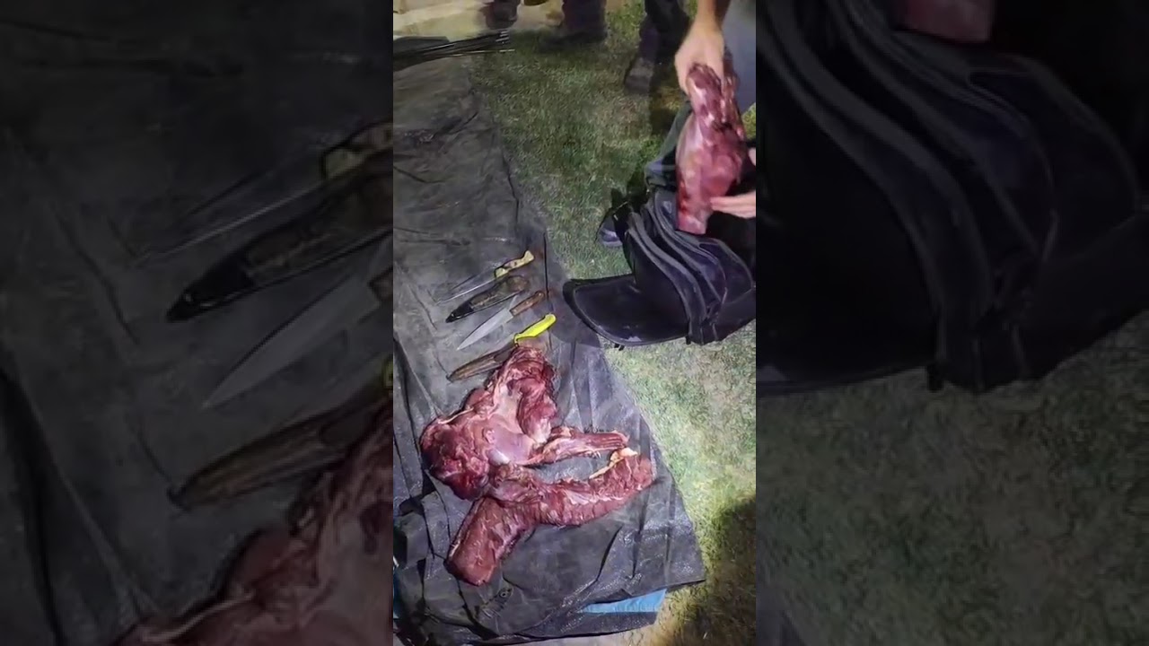 El video del momento en el que la Polic&iacute;a Rural secuestr&oacute; carne de guanaco