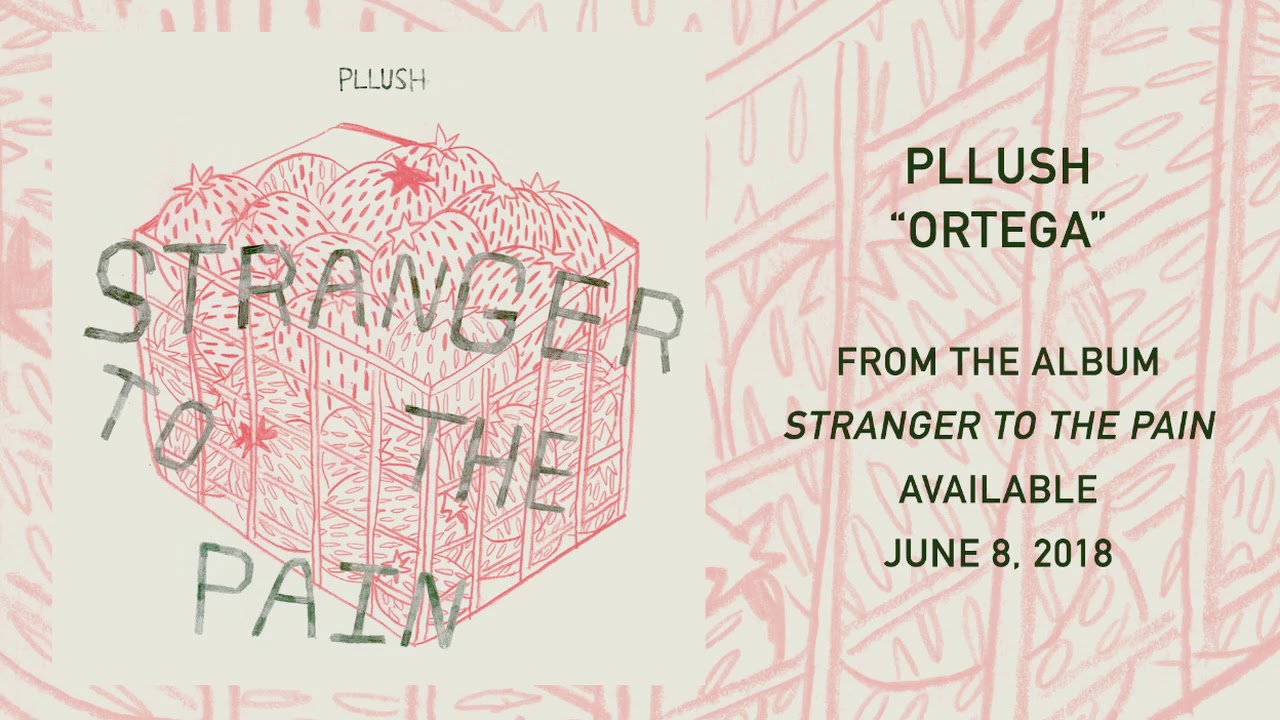Pllush - Ortega
