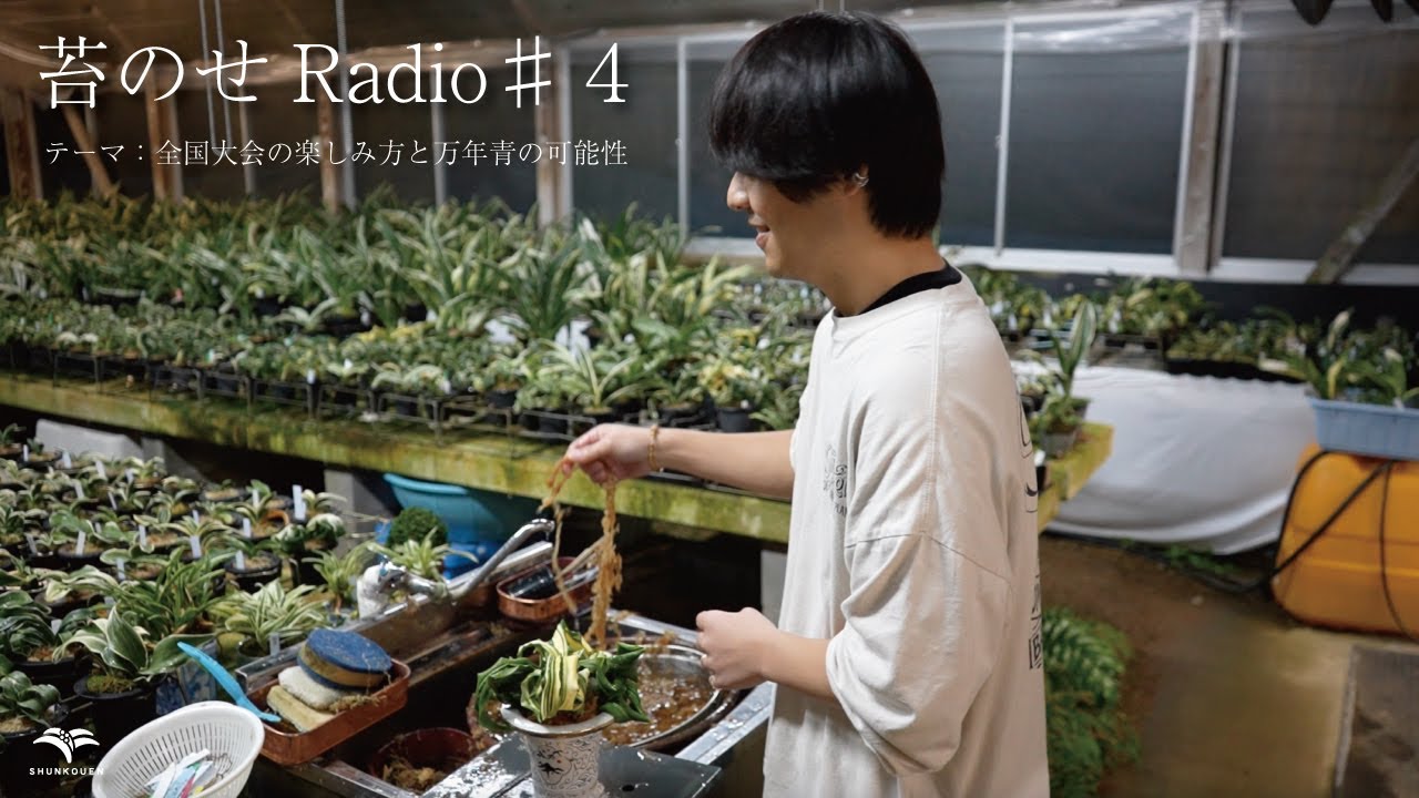 苔のせRadio♯4 テーマ：全国大会の楽しみ方と万年青の可能性