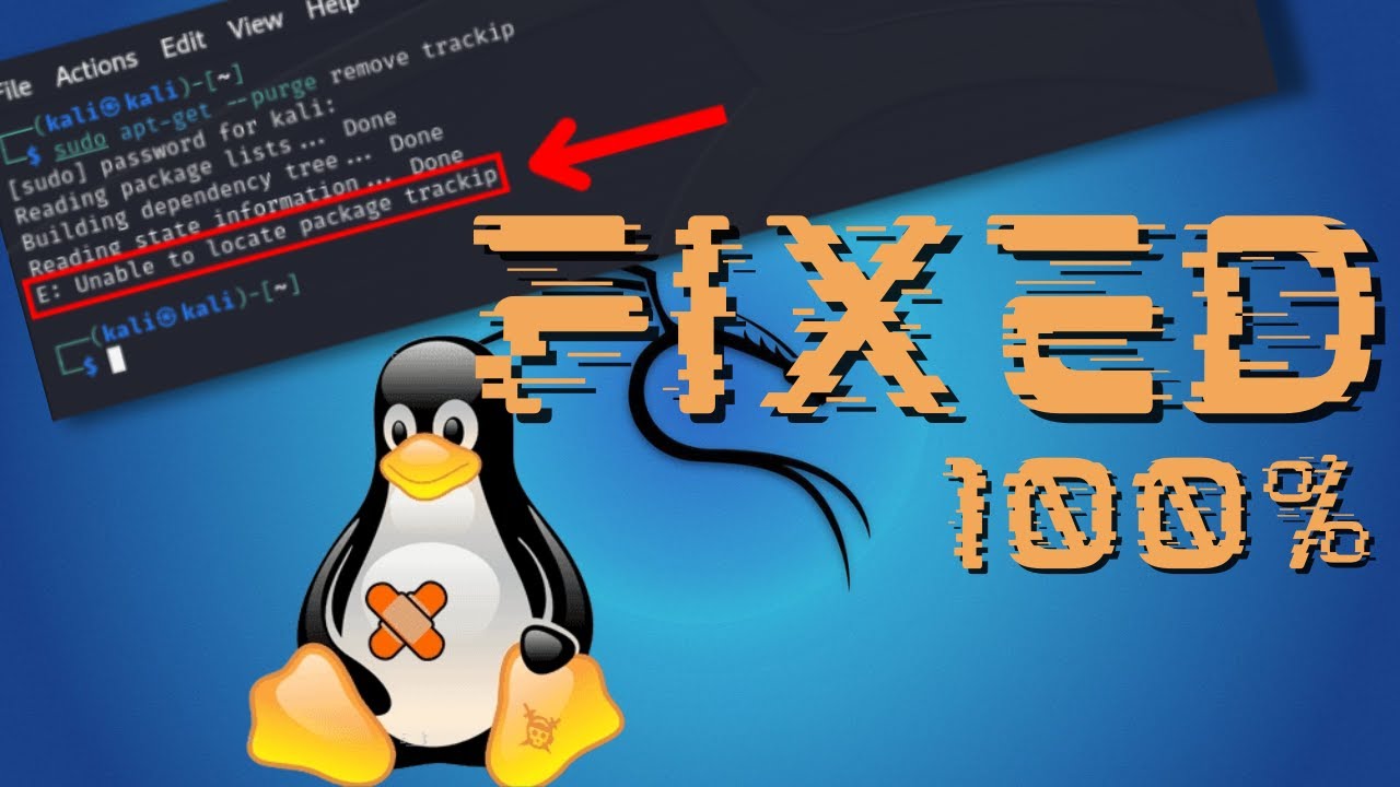 Как исправить ошибку E: &laquo;Не удалось найти пакет&raquo; в Kali Linux &mdash; 2024