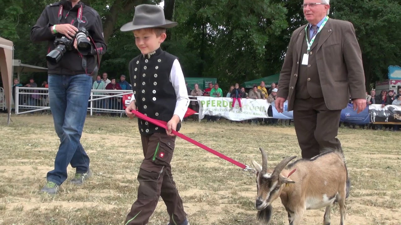 21. Harzer Landwirtschaftsfest Reinstedt