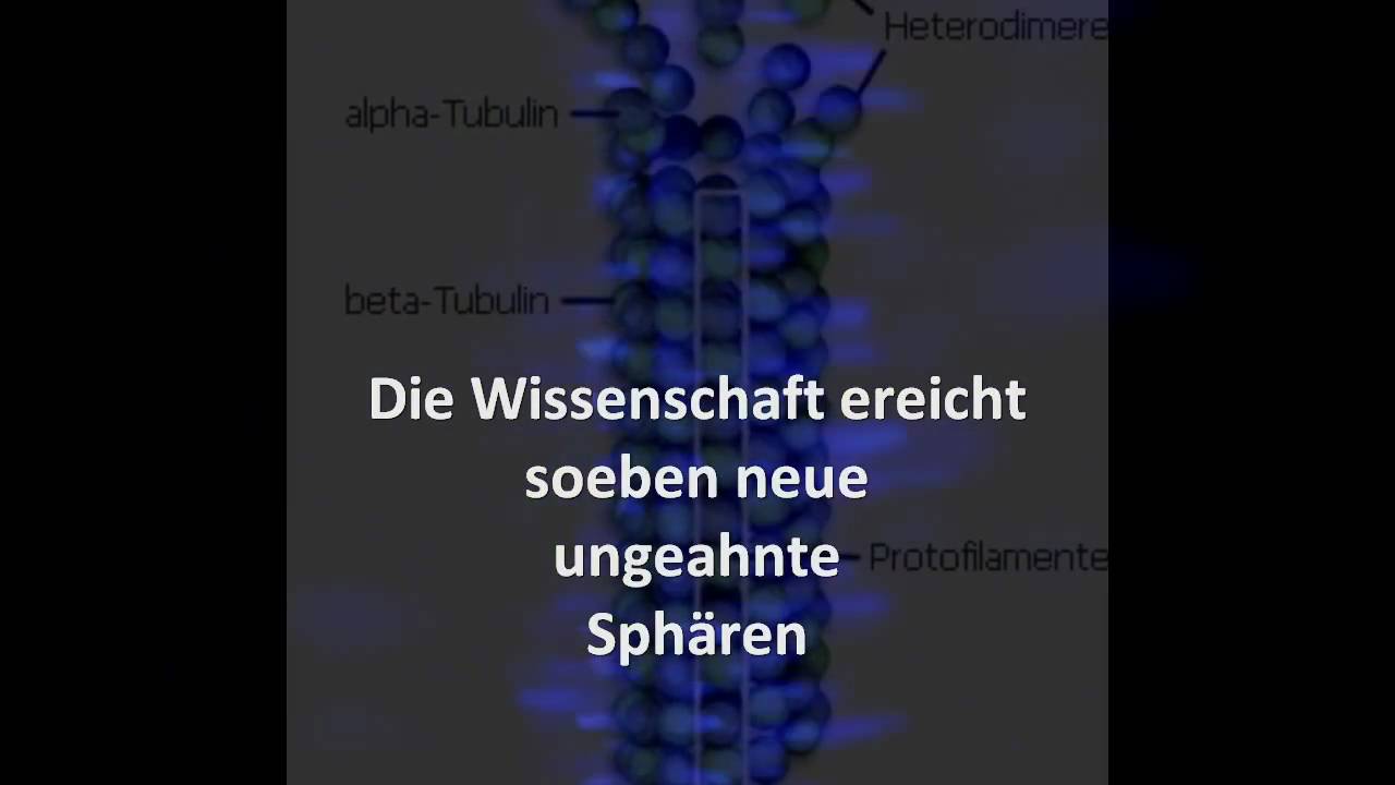 Das neue Energieniveau ist da