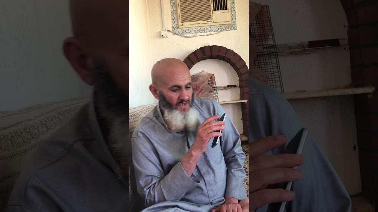 المامون والجيب القديم