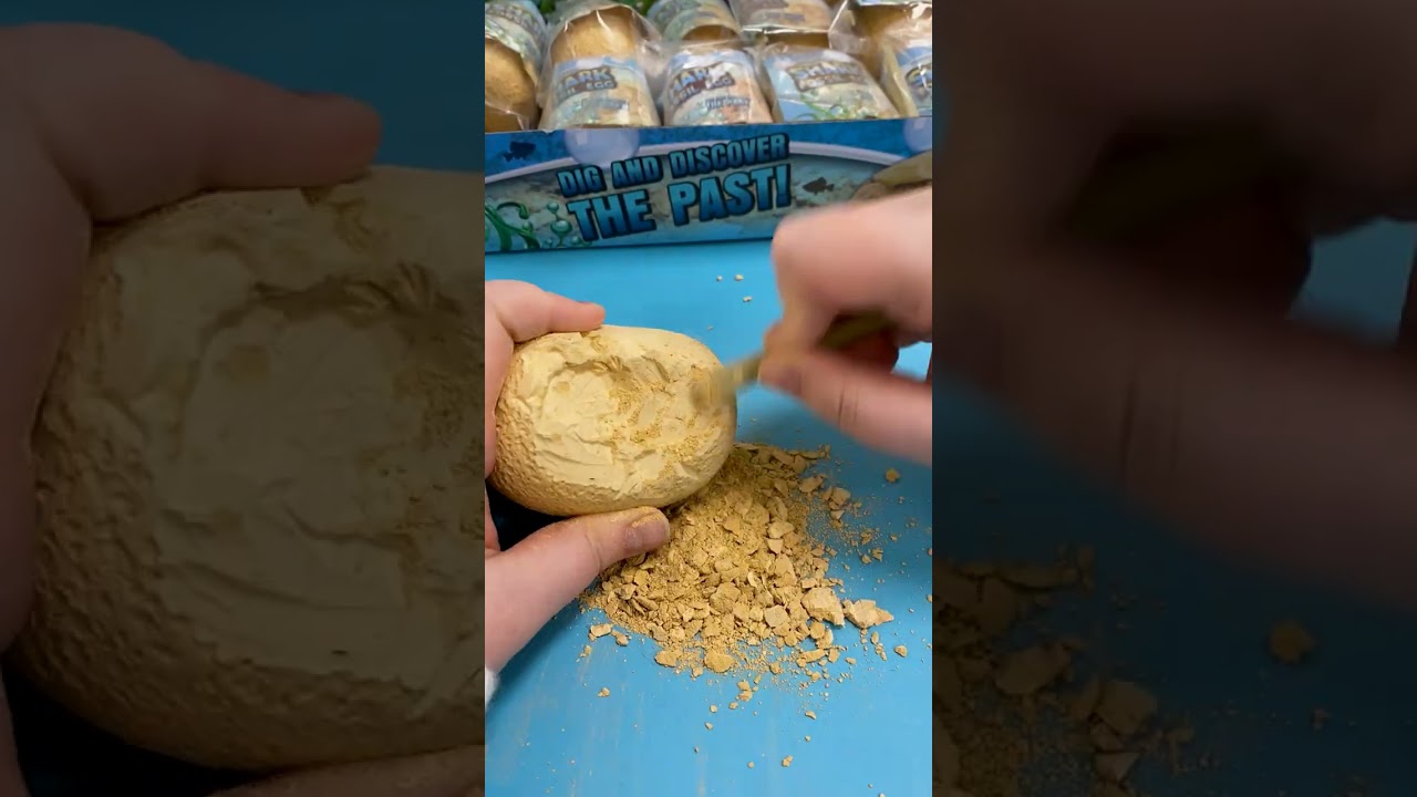 Dig and discover the past with our Shark Fossil Eggs! #STEAM #STEMToy #Shark #Fossil #Dig