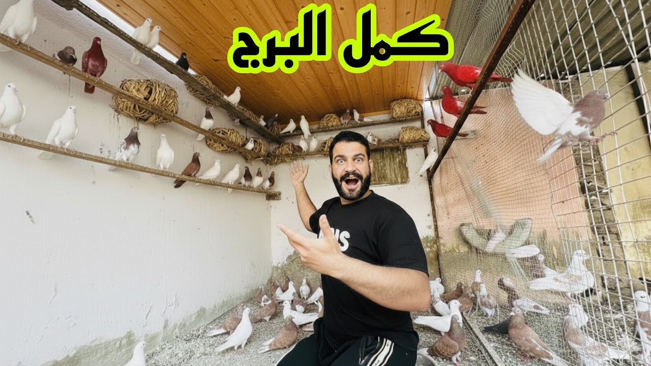 اكمال برج الحمام #الفرقه الضاربة 