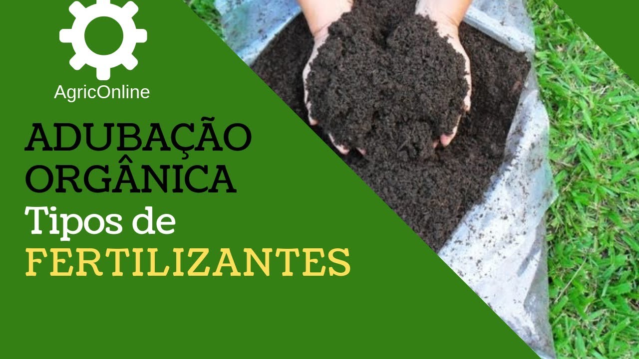 ADUBA&Ccedil;&Atilde;O ORG&Acirc;NICA - Tipos de fertilizantes