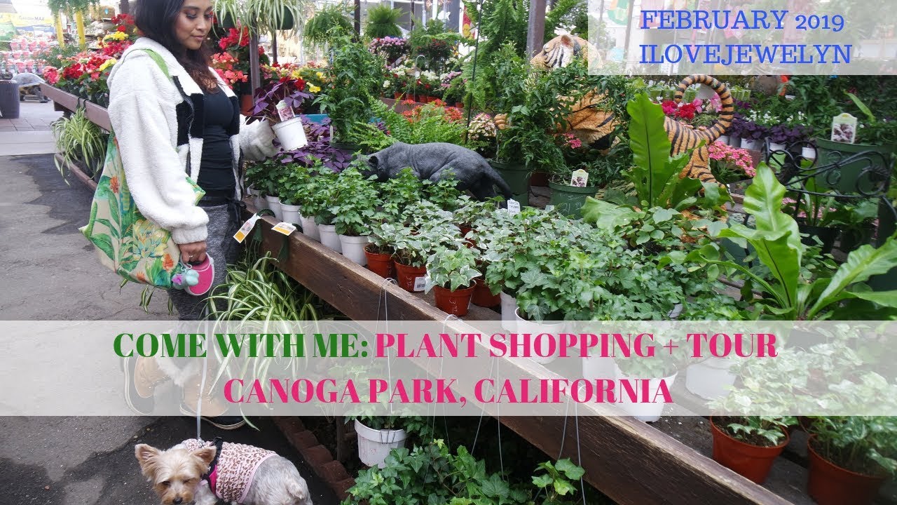 Come with me: Plant shopping + tour  | Canoga Park, CA | Feb 2019 | ILOVEJEWELYN