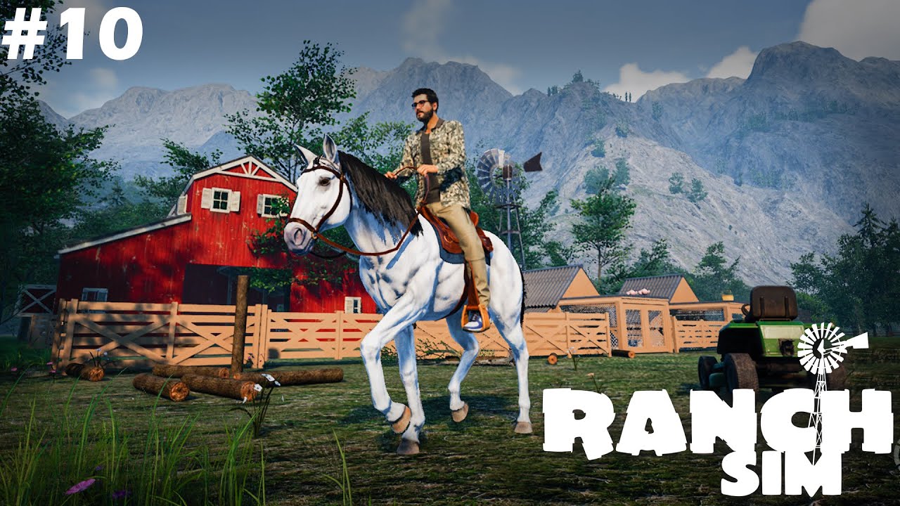 I BOUGHT A NEW HORSE