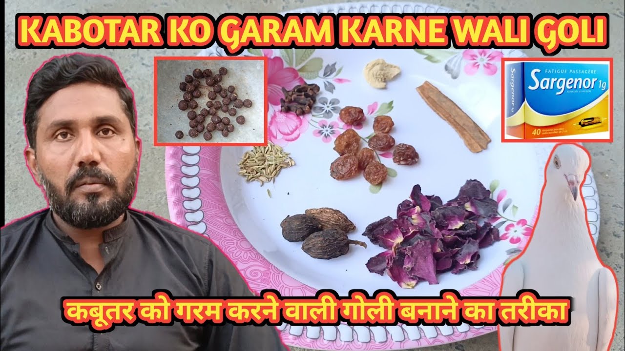 KABOTAR KO GARAM KARNE WALI GOLI BANAE KA TARIKA|| कबूतर को गरम करने वाली गोली बनाने का तरीका